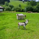 Gruentenpanorama Im Jaegerwinkl Allgaeu