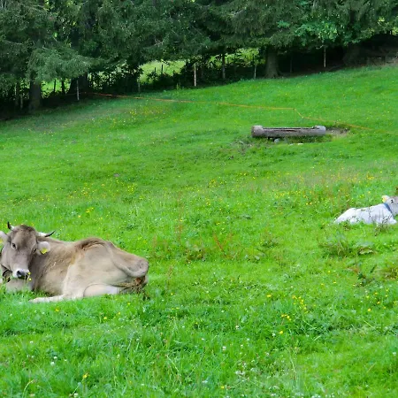 Gruentenpanorama Im Jaegerwinkl Allgaeu 아파트 레텐베르크