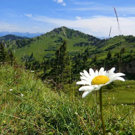 Gruentenpanorama Im Jaegerwinkl Allgaeu 아파트 *