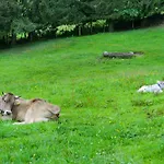 Gruentenpanorama Im Jaegerwinkl Allgaeu Appartamento Rettenberg
