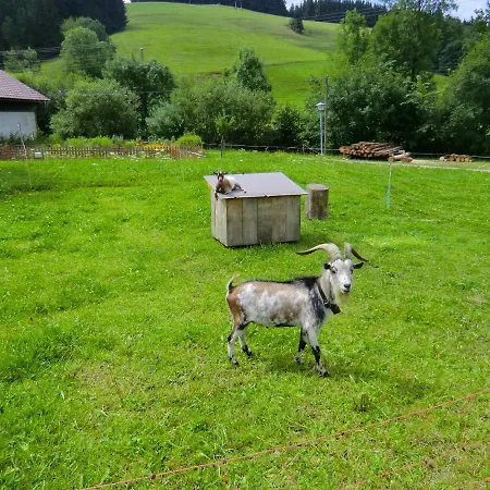 Gruentenpanorama Im Jaegerwinkl Allgaeu