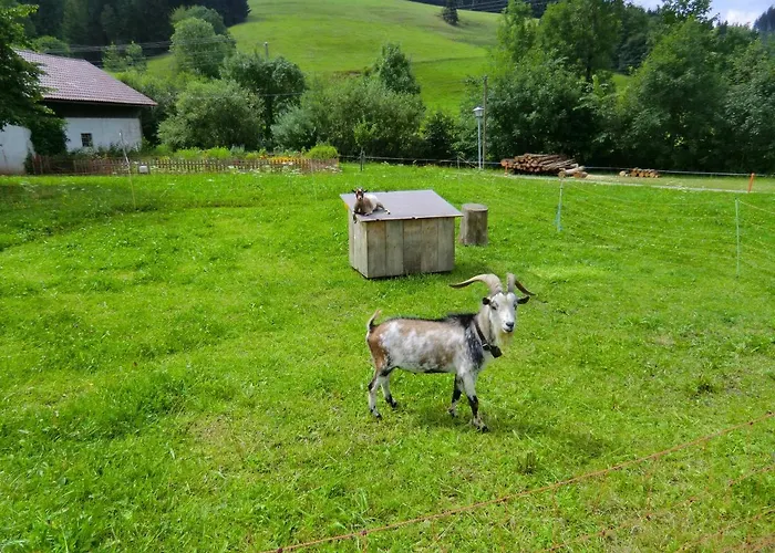 Gruentenpanorama Im Jaegerwinkl Allgaeu