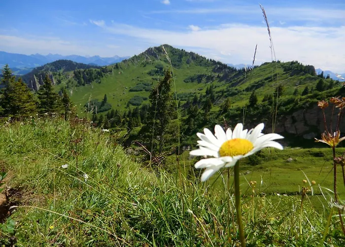Grüntenpanorama Im Jägerwinkl Allgäu Apartment *